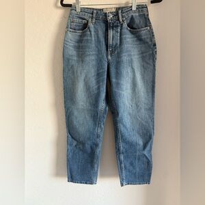 Everlane High rise straight jean ankle size 27